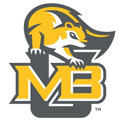 mary baldwin university mascot
